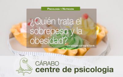 ¿Quién trata la obesidad?